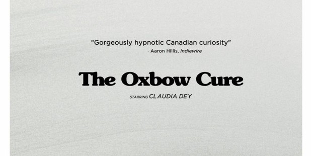 Póster de The oxbow cure
