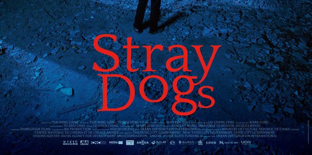 Póster de Stray Dogs