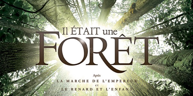 Póster de Il était une forêt