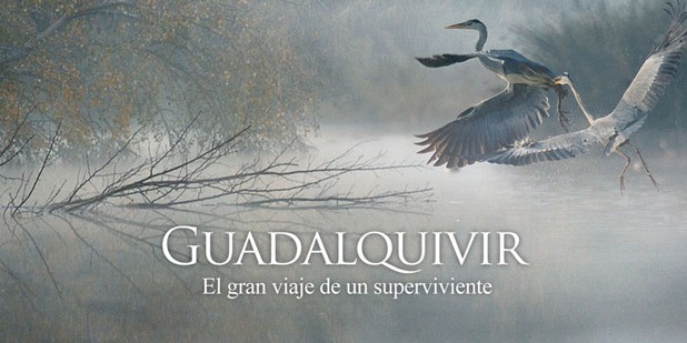 Teaser póster de Guadalquivir