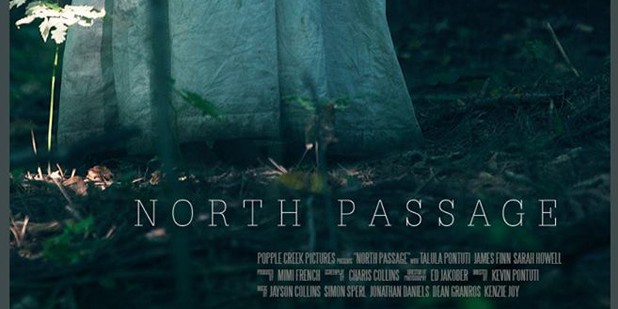 Póster de North Passage