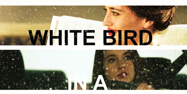 Póster de White Bird in a Blizzard