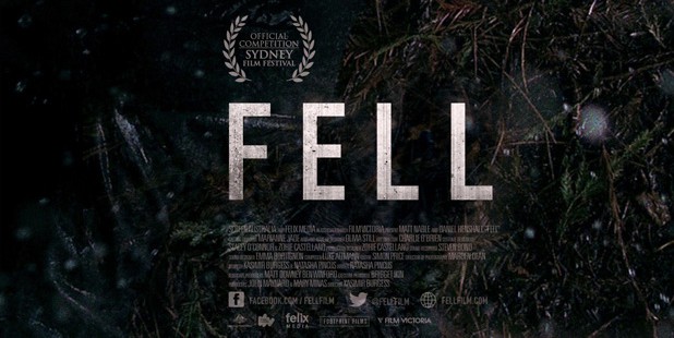 Póster de Fell