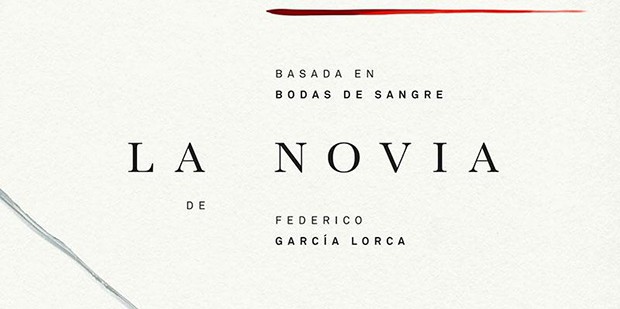 Póster de La novia