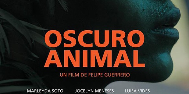 Póster de Oscuro animal