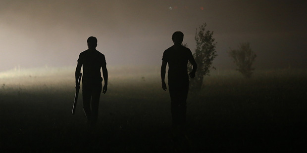 Dogs-2