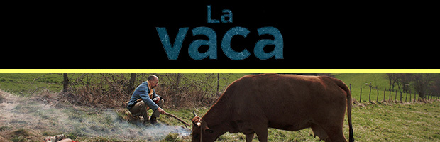 La vaca-estreno