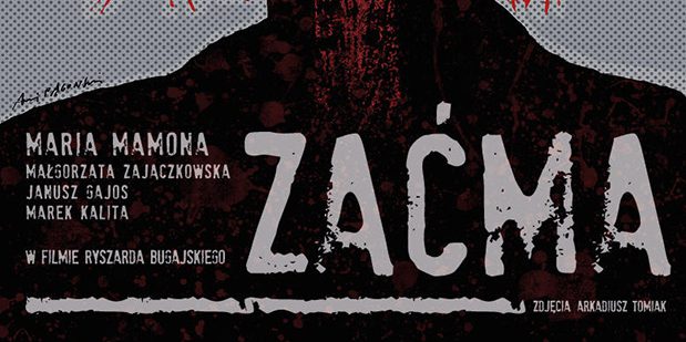 Póster de Zacma: Blindness