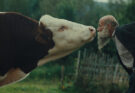 Primer trailer para Better Go Mad in the Wild