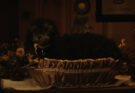 El semental perfecto. Trailer para Breeder de Alex Goyette
